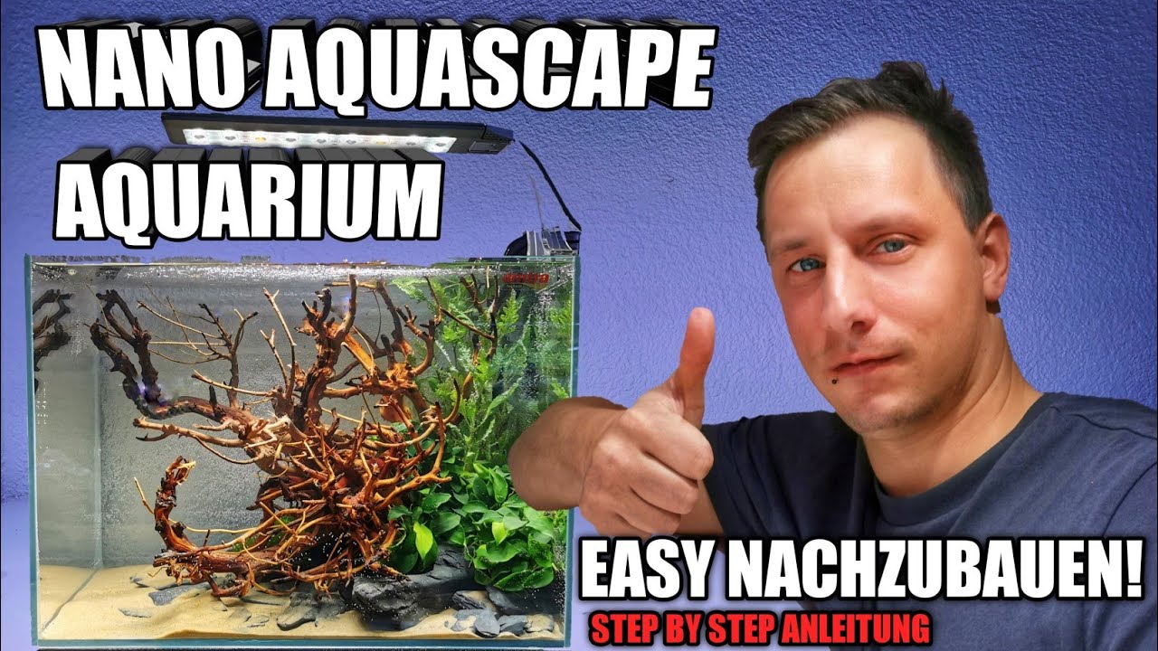 Nano Aquascape Aquarium einrichten Schritt f&uuml;r Schritt | Sascha Hoyer