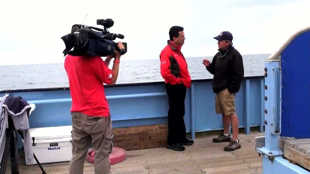 Tracking Sharks: Dr. Greg Skomal Interview