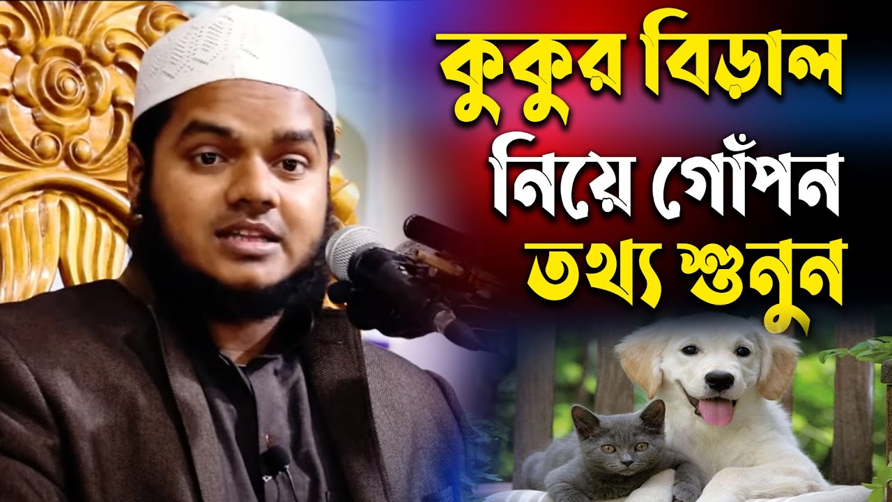 কুকুর বিড়াল নিয়ে অবাক করা তথ্য। আব্দুল্লাহ বিন আব্দুর রাজ্জাক। abdullah bin abdur razzak