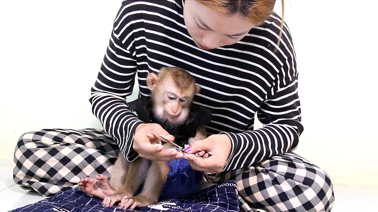 Baby Sit Quite While Cutting Nail | Mom Cut Baby's Nails