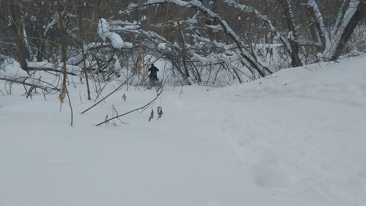 Snowmobiling through the taiga