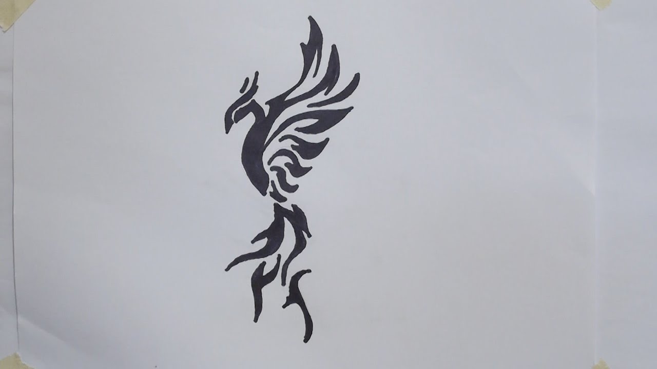 How to draw phoenix tribal tattoo