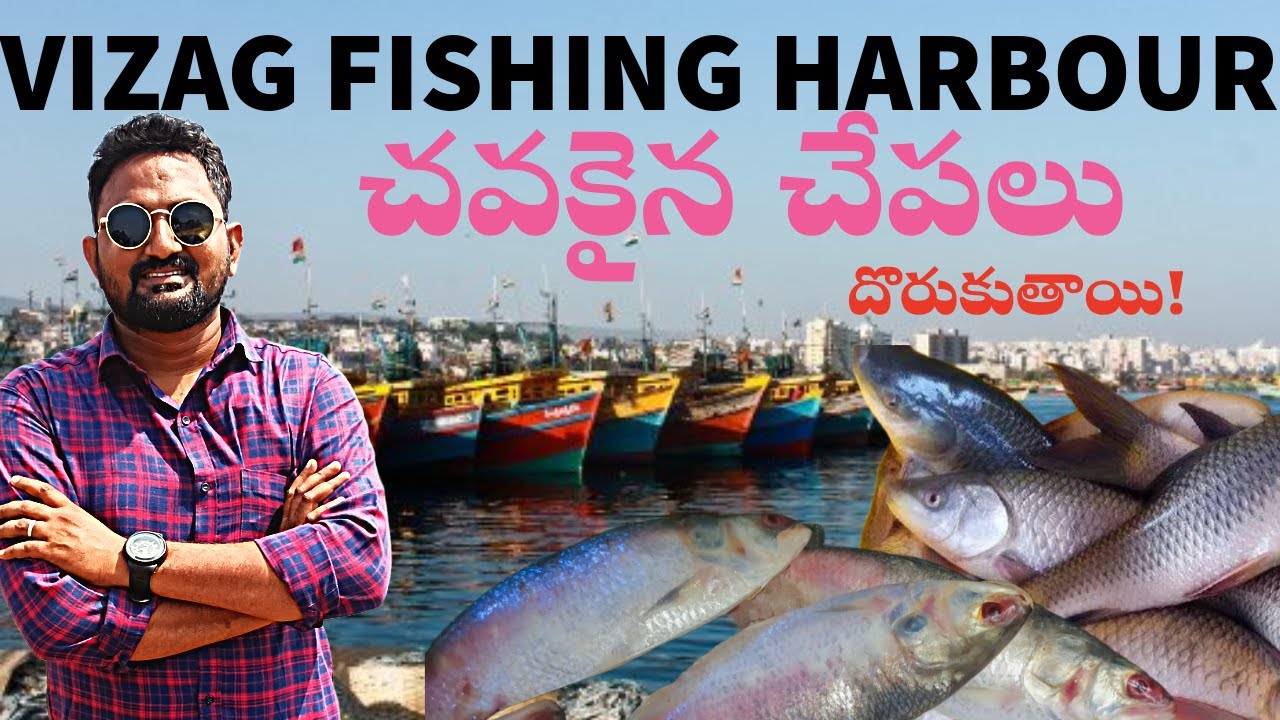 || vishakapatnam fishing harbour| fishing market|