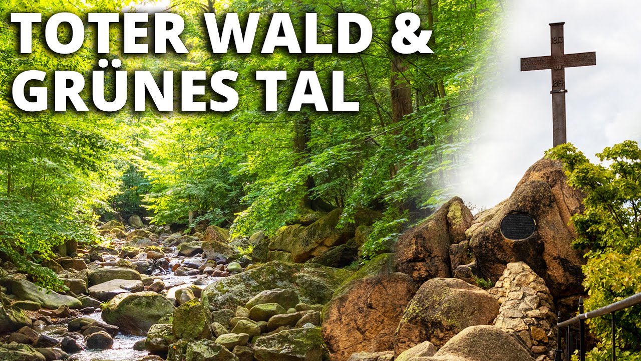 Wandern im Harz - Ilsestein, Plessenburg und Ilsetal