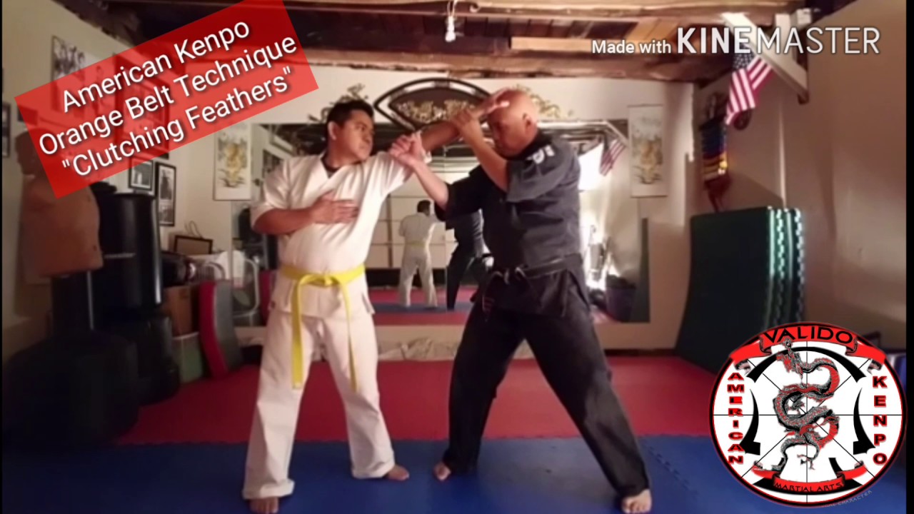 Orange Belt Self Defense Technique #1-Clutching Feathers