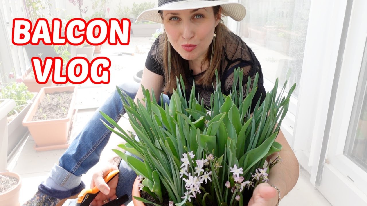 👩🏼‍🌾 BALCON VLOG : plantations de printemps, potager, fleurs, updates rosiers, semis... 🌷