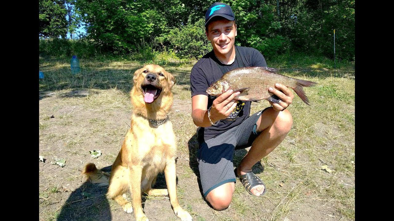 Фидерная рыбалка с ночевкой на леща на водохранилище! Словил зачетного леща ночью!