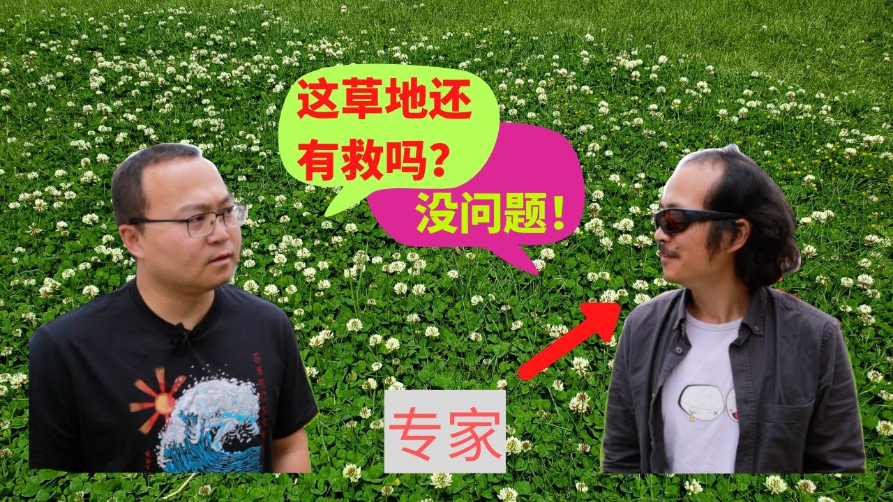 如何除杂草？如何使用除草剂？如何施肥？植物专家来帮忙！