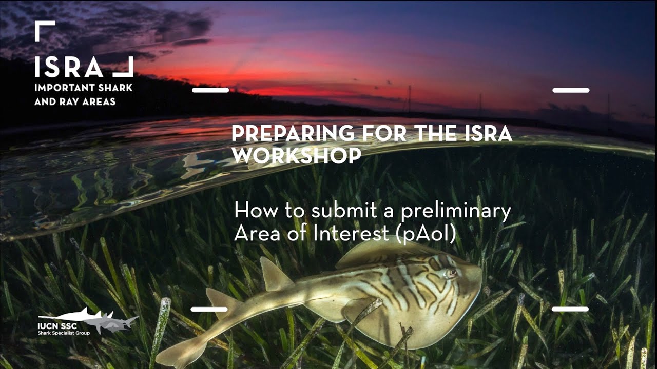 2.2  How to submit a pAoI