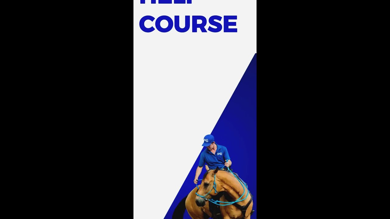 12 Steps to a Safer, Happier Horse | The Horse Guru-Michael Gascon
