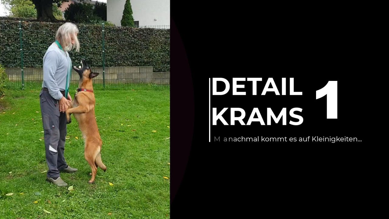 Detail-Krams Teil 1 - Apportieren im IGP +++ &Uuml;bung zur Vorbereitung des Apport