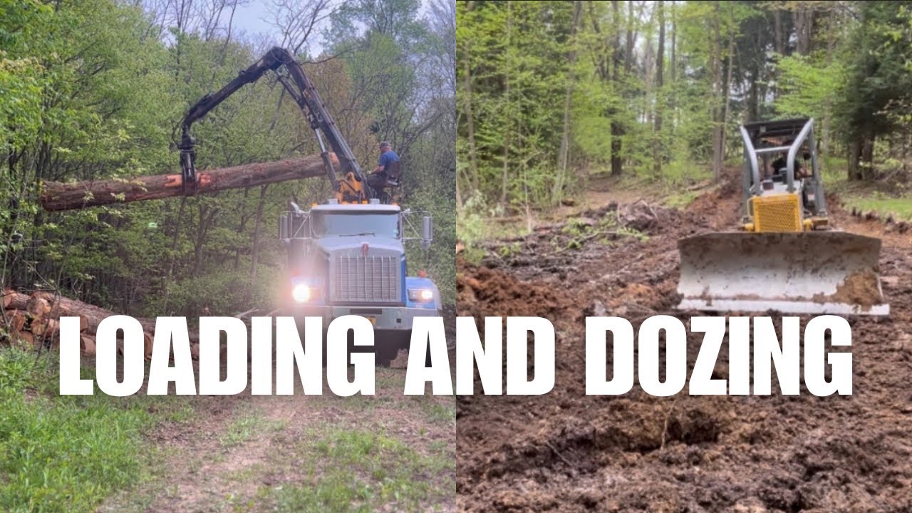 Log truck loading up and fixing a bad spot in the skid trail