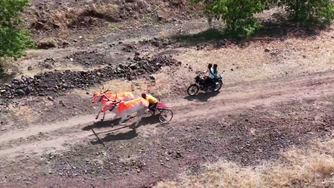 बनपुरी यात्रा 51 हाजार जनरल ब गट बैलगाडी शर्यत पहिला गट 