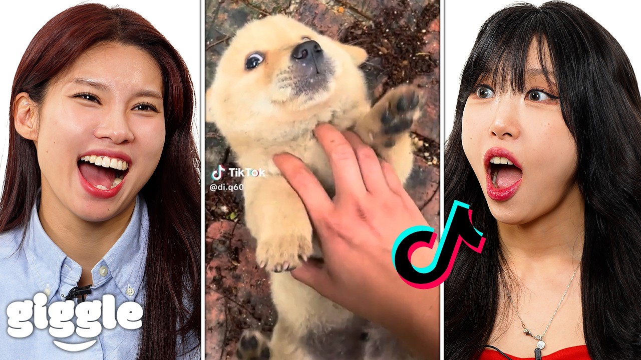 Koreans react to the Cutest Dogs Ever TikToks!