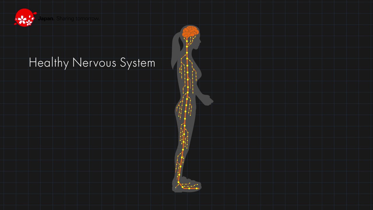 HAL - Hybrrid Assistive Limb