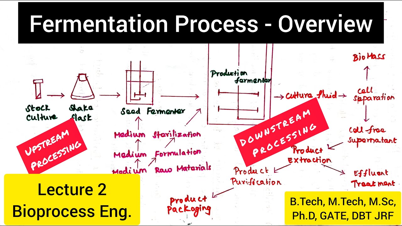 Fermentation Process | Upstream Processing | Downstream Processing @biotechnotebook