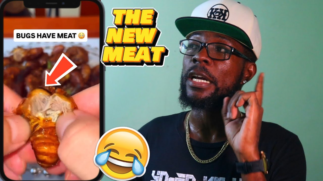 Нужна лишь приправа для джерков... Новая свинина? 🤣🤣🤣 [K2K REACTION S12 Ep #20