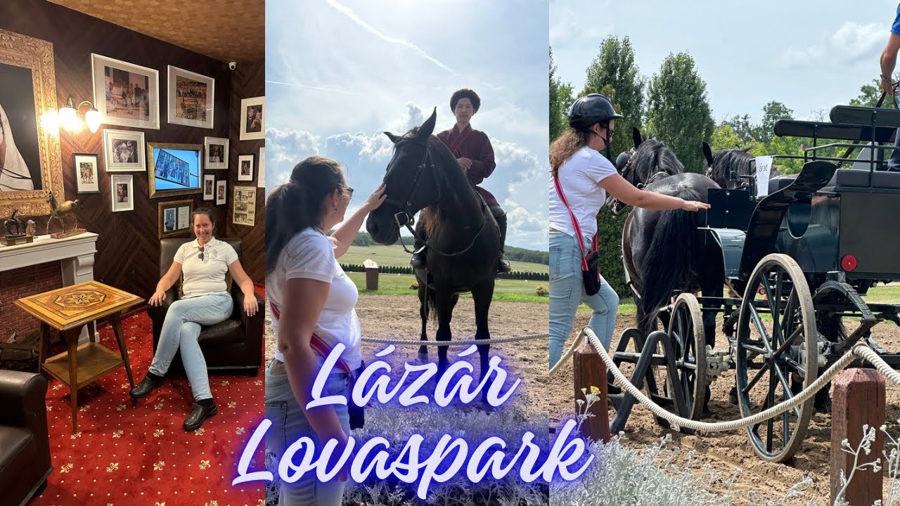 Látogatás a Lázár Lovasparkban | Fogathajtó verseny | Lovasbemutató