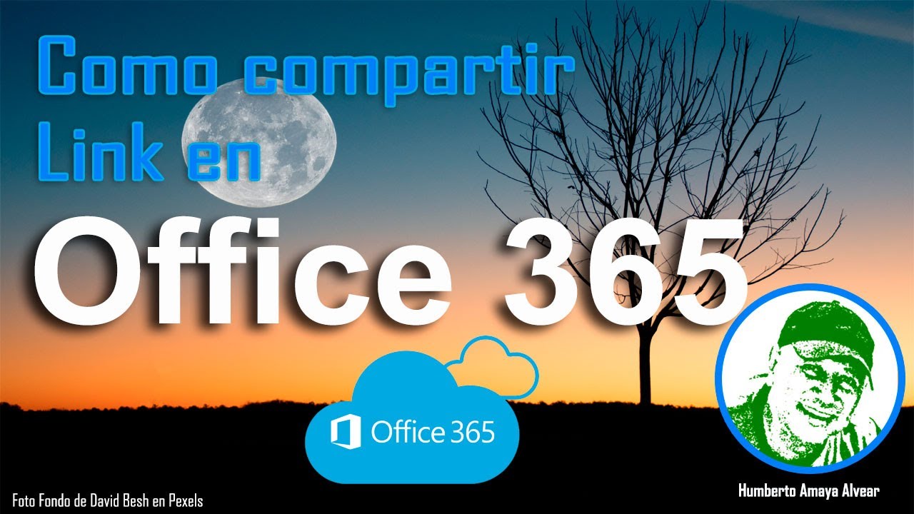 Compartir link en office 365