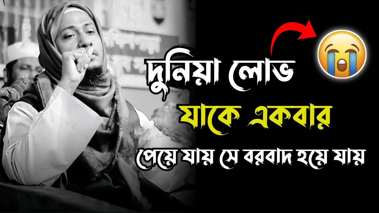 দুনিয়ার লোভ যাকে একবার পেয়ে যায় সে বরবাদ হয়ে যায় । আনিসুর রহমান আশরাফী। Anisur Rahman.Bangla waz