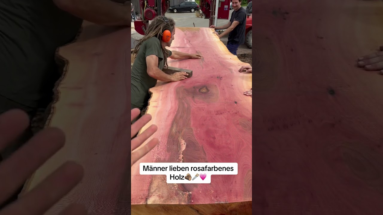 Wusstest du, dass Platane so aussieht? 🪵🪚💗 