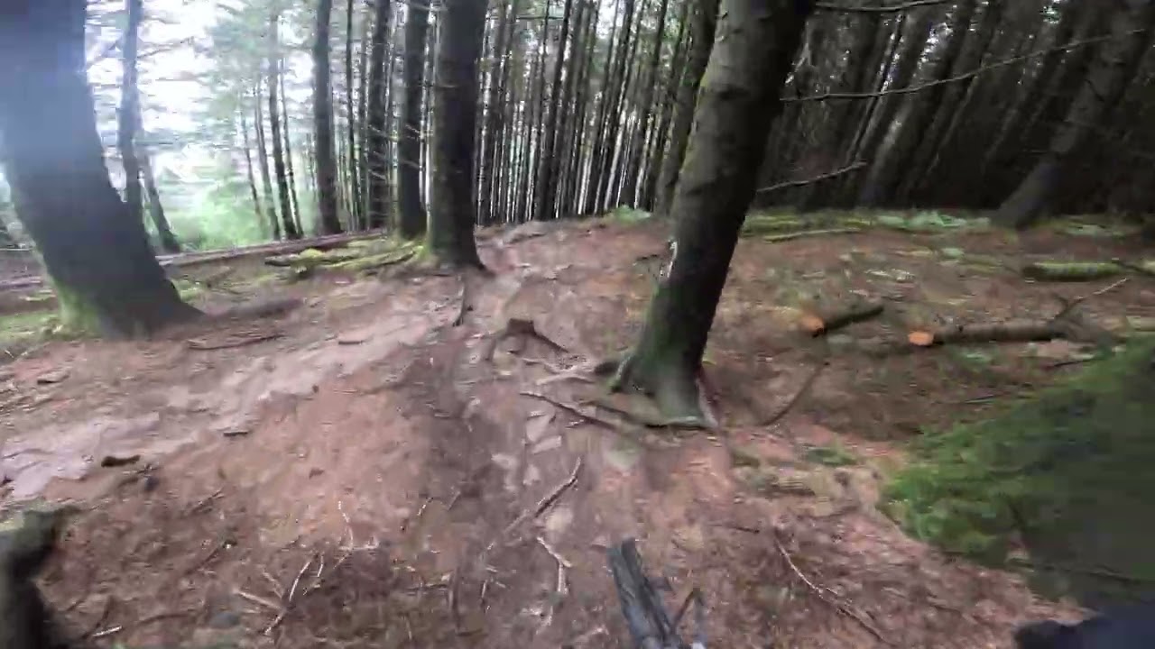 Dai Hard, Bike Park Wales