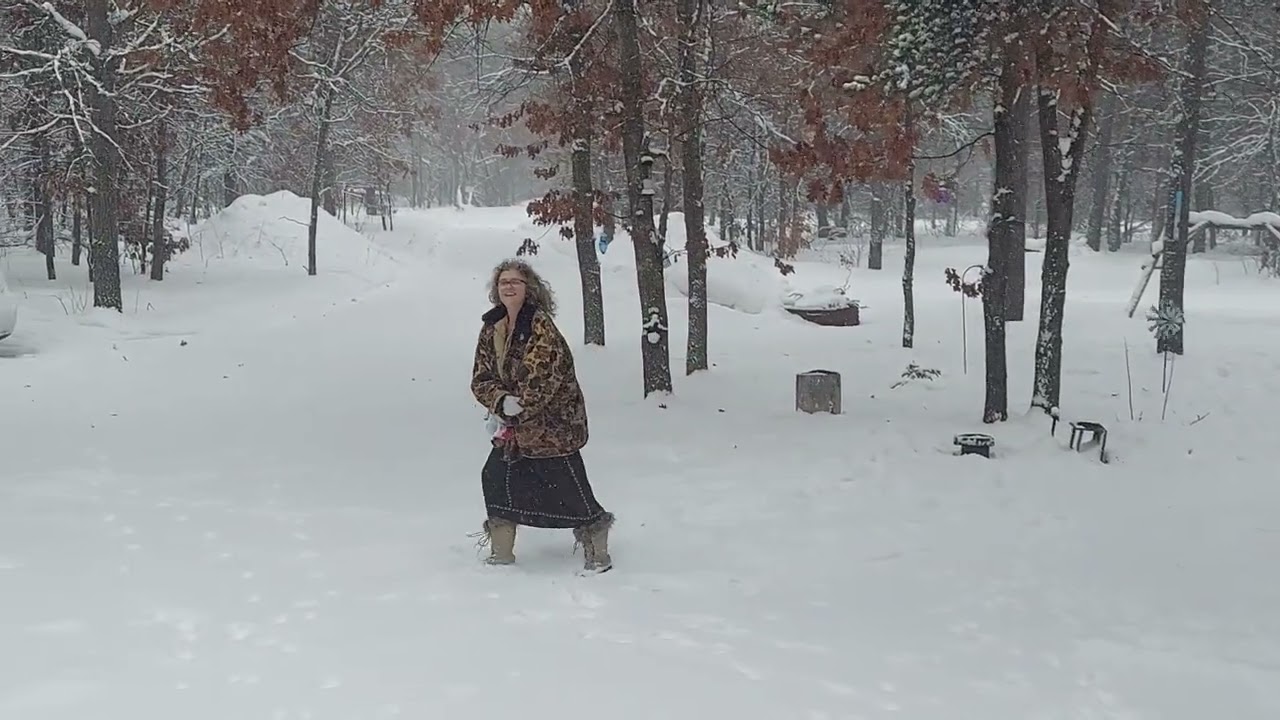 -4° Feeding the birds #northernmichigan #winter