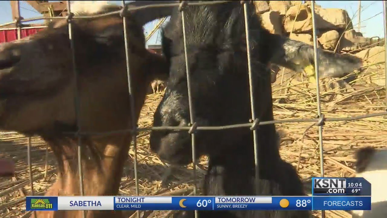 Northeast Kansas welcomes fall with weekend events