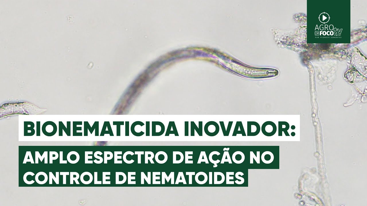 Solução biológica chega ao mercado para ajudar no controle de nematoides - Programa #65 Agro Em Foco