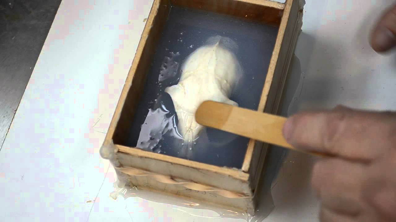 Molding An African Wildcat Skull Part 6 - Creating The Upper Mold