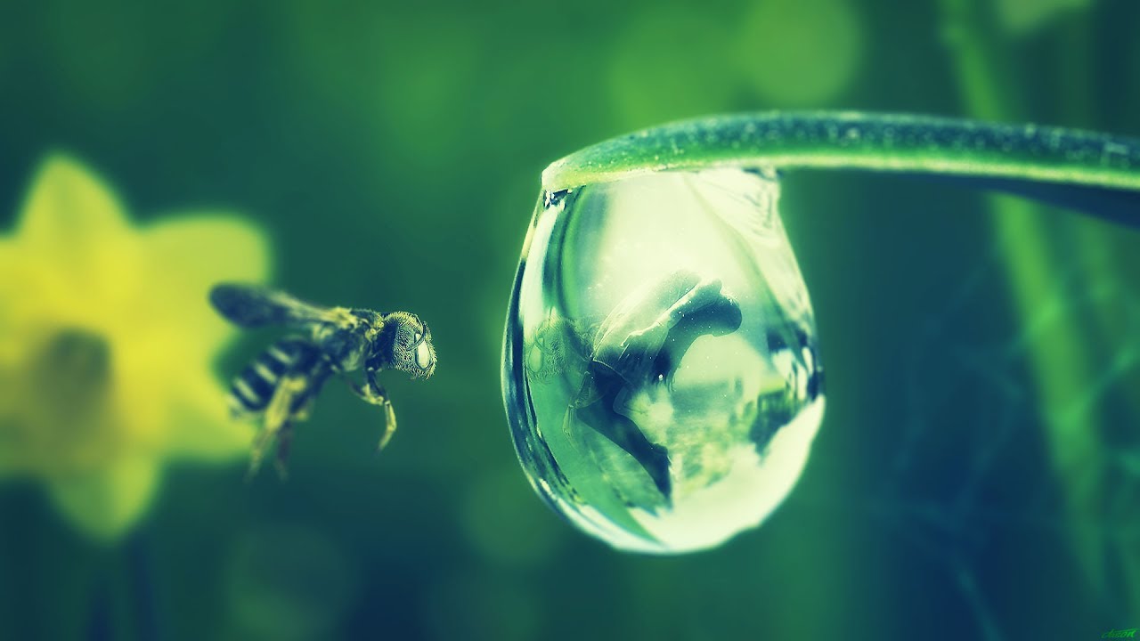Photoshop Manipulation Tutorial Dew (포토샵 합성 강좌 이슬)