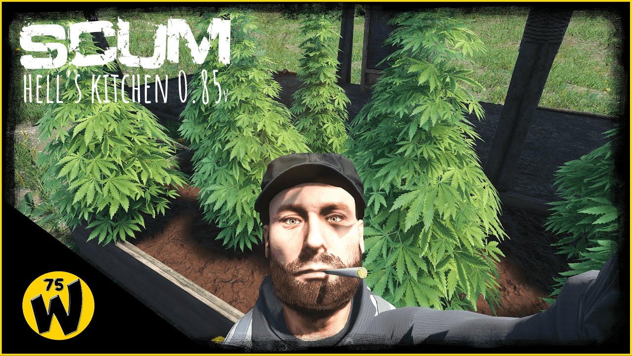SCUM 0.85 - Адская Кухня - Обучающее видео😉