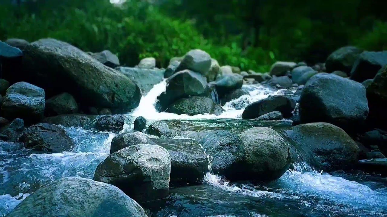 🌊 Gentle River Path ASMR Sounds for Deep Sleep, Relaxation & Inner Peace