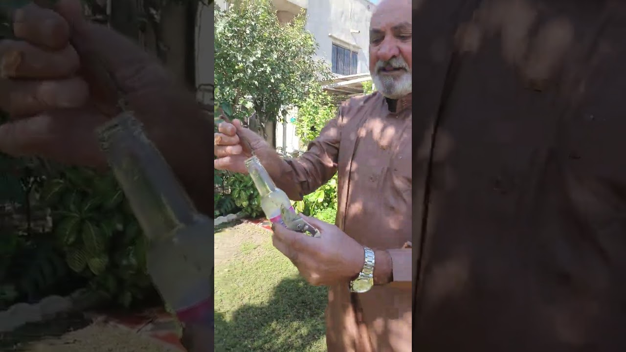 طريقة سهلة لاكثار نبات شوكة المسيح ونبات الثلج ونبات العطرة 🥀جنتي حديقتي🥀