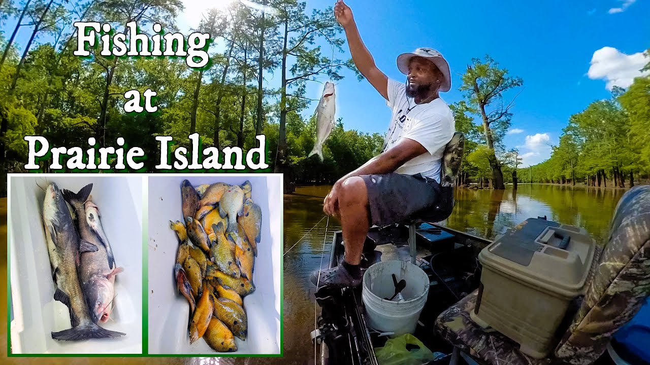 Bream Fishing, Jugging, Trot lining, and hanging Limb Lines at Prairie Island