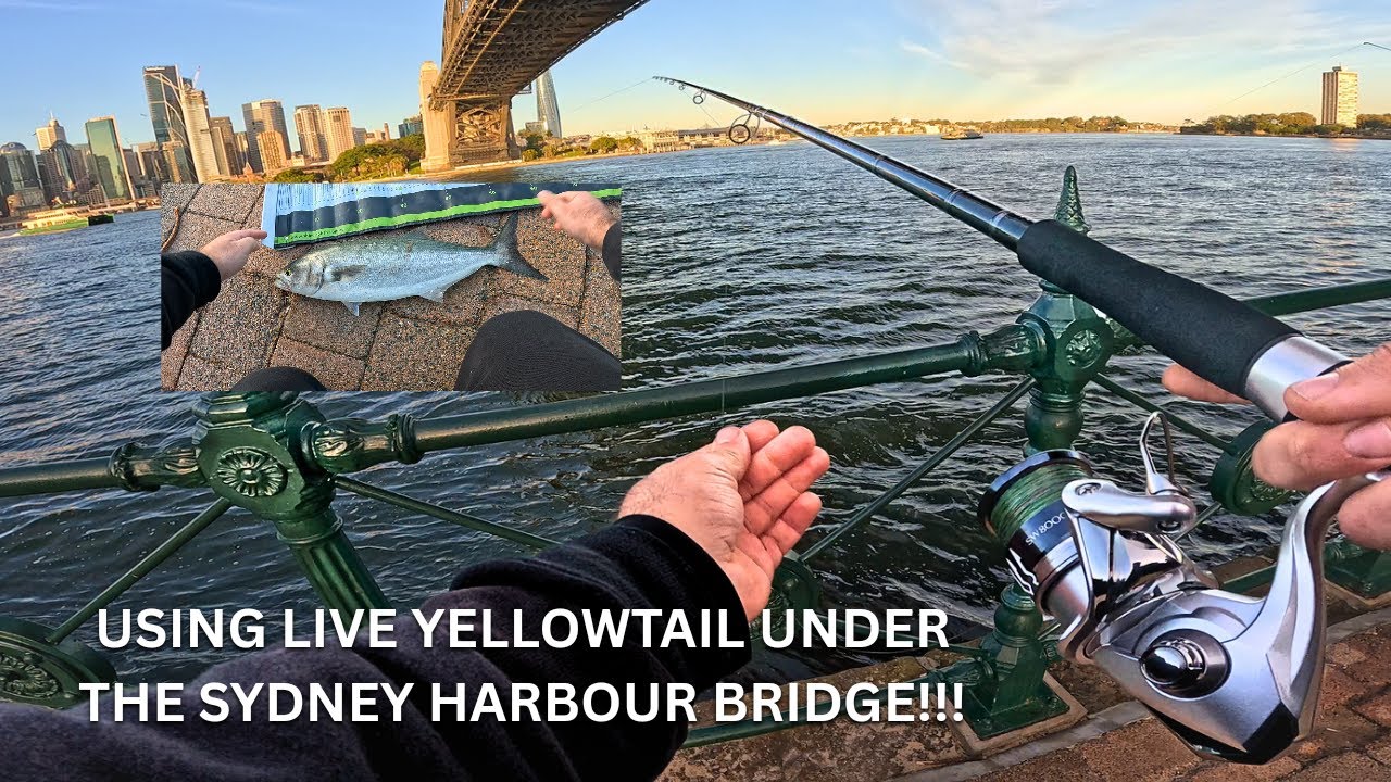 Fishing Underneath The Sydney Harbour Bridge!