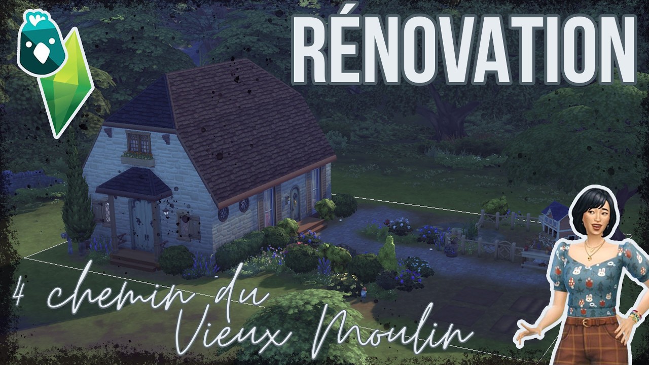 🐓 Rénovations du terrain 