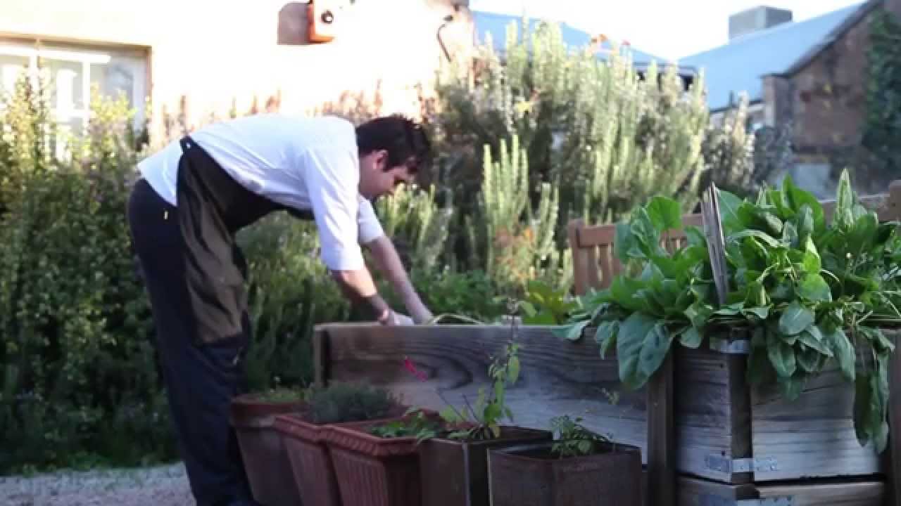 Regeneration By The New Generation - New Food and Wine Heroes of The Clare Valley