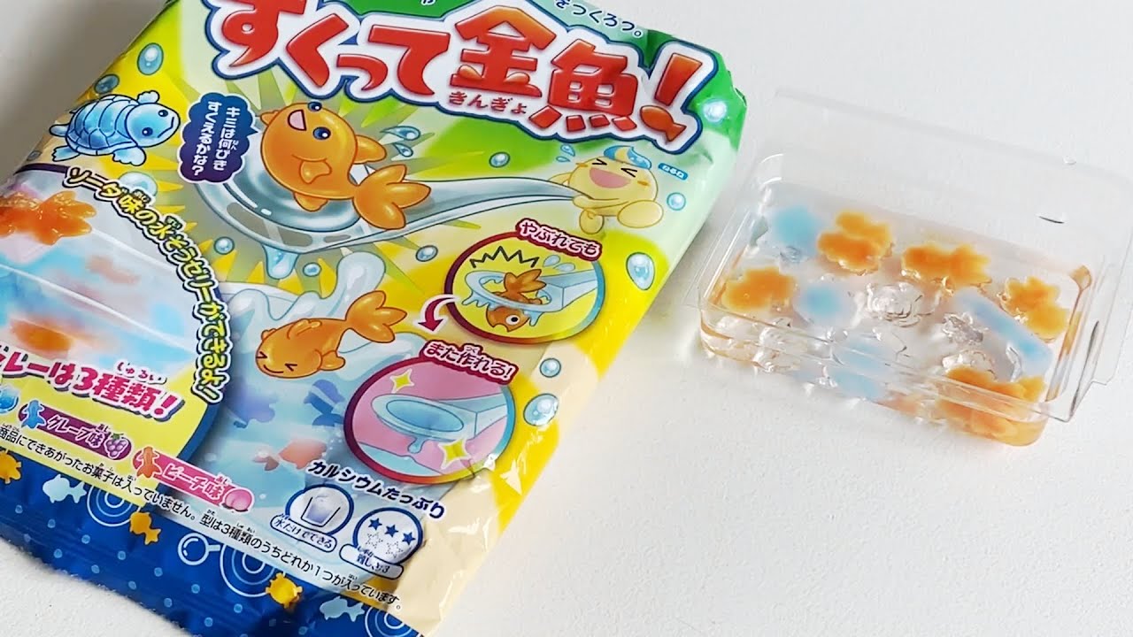[DIY Kit] Goldfish & Turtle Scooping - Kingyo-sukui | Kracie