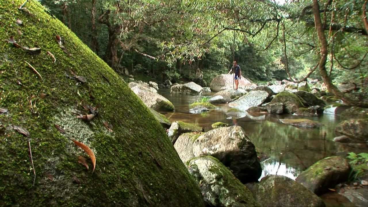 Fabulous Fly Fishing - Daintree Rainforest Australia