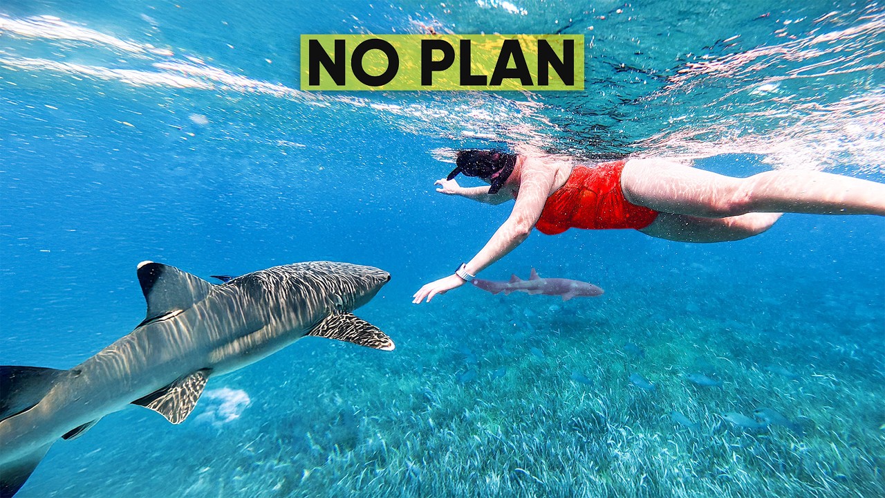 Belize with no plan (it got wild fast)