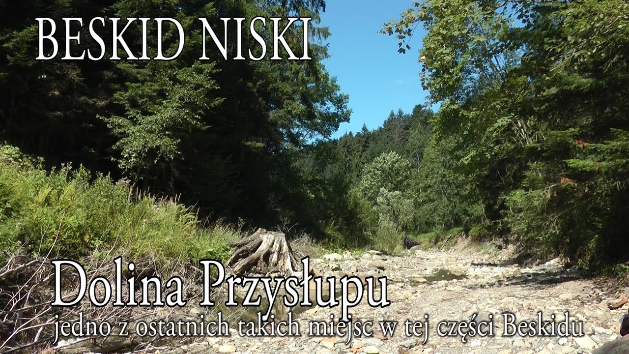 🇵🇱 BESKID NISKI » Dolina Przysłupu, jedno z ostatnich takich miejsc