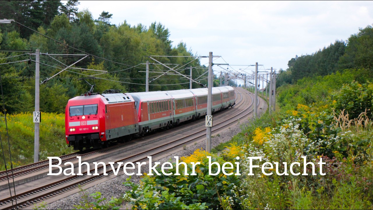 Bahnverkehr bei Feucht