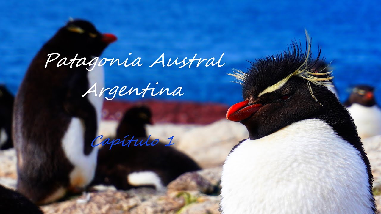 Puerto Madryn, Comodoro Rivadavia y Puerto Deseado - Patagonia Austral Argentina - Cap.1/4