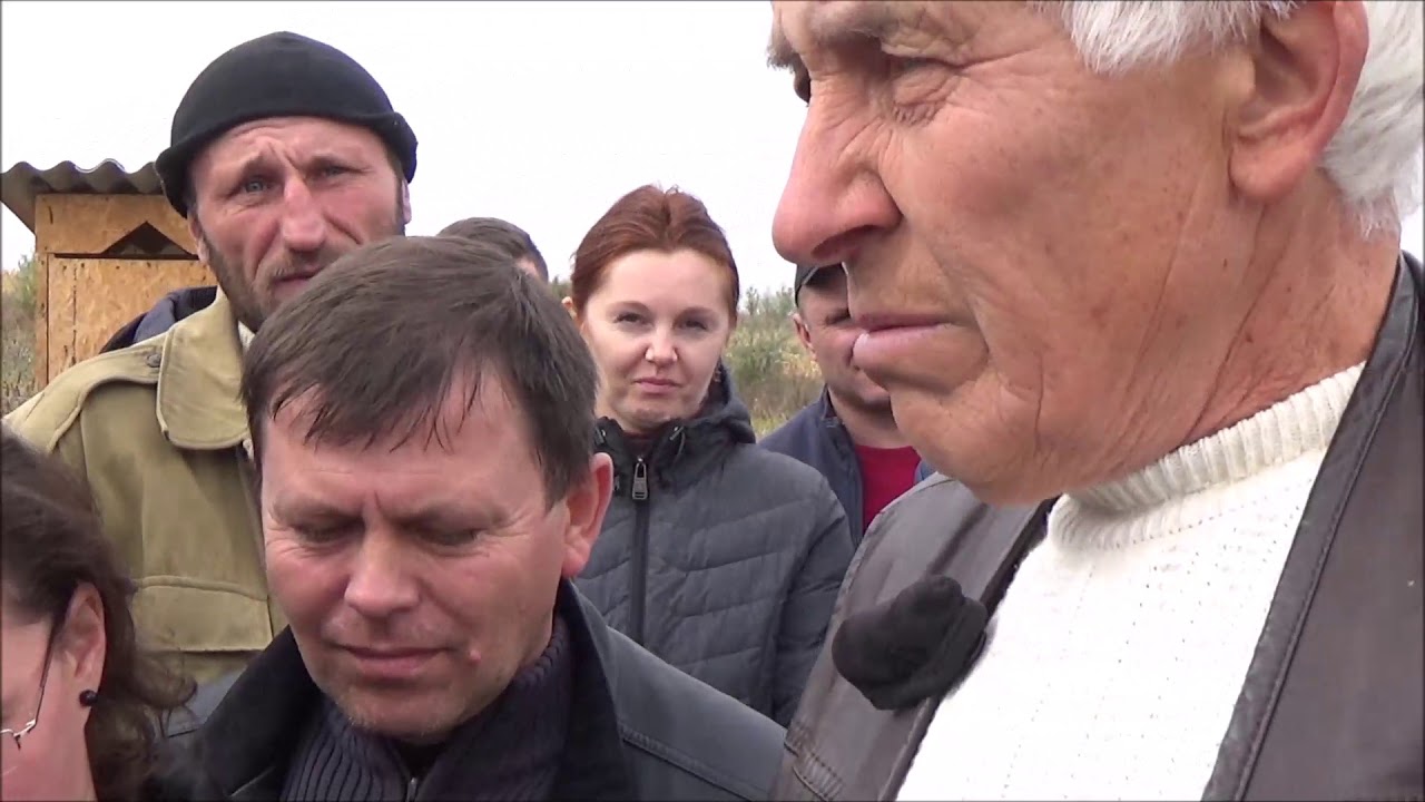 Первое поле с сюрпризом Песчанский в возрасте 6 месяцев с орехом. Октябрь 2017