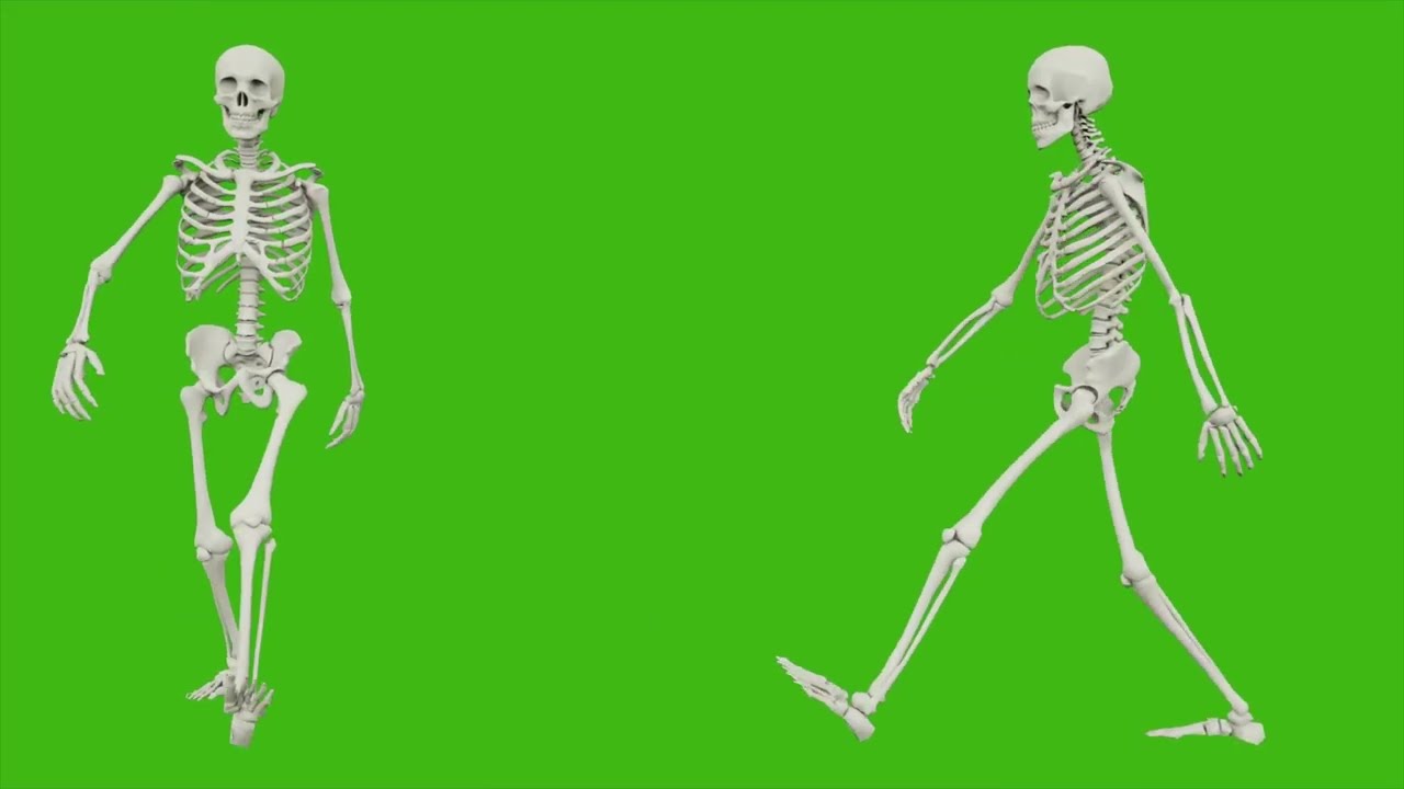 The Valley of Dry Bones| Kids! Learn From Ezekiel’s Vision in 2 Minutes 