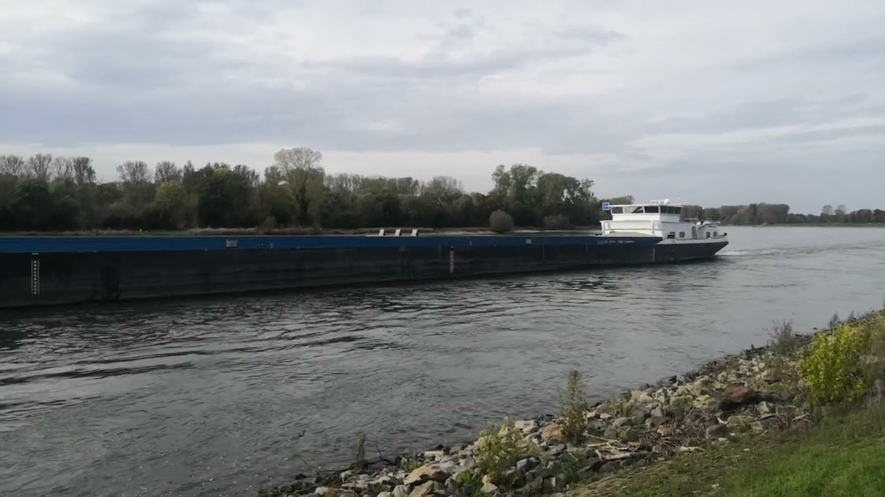 G&uuml;termotorschiff auf dem Rhein Triangle mit Schubleichter Bermuda