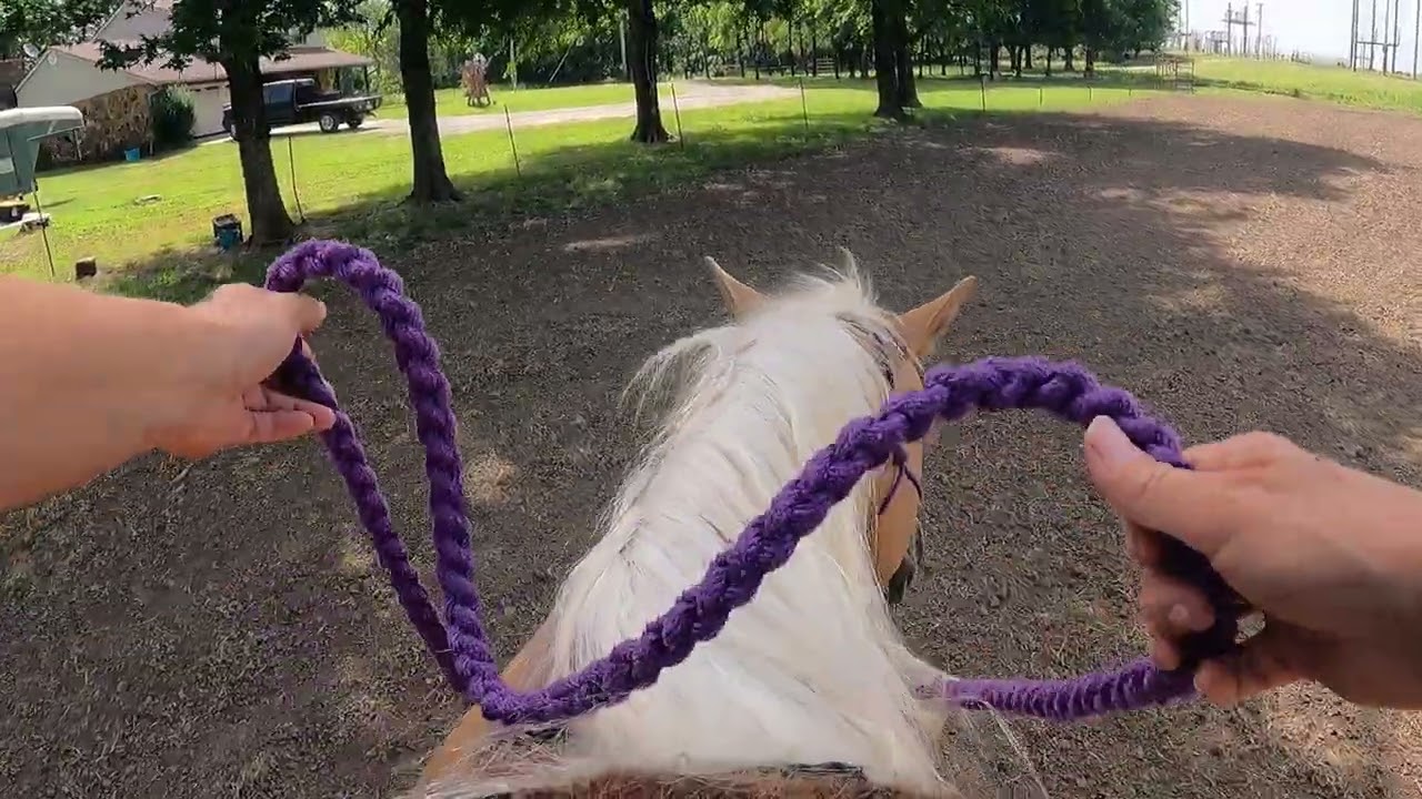 How to use the rope halter when riding in it.