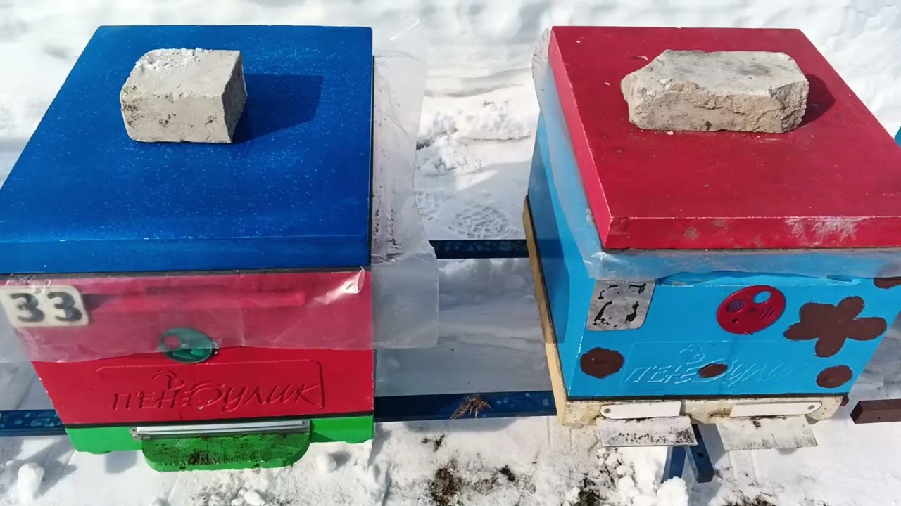 10.03.26. Выход пчел из зимовника!!!