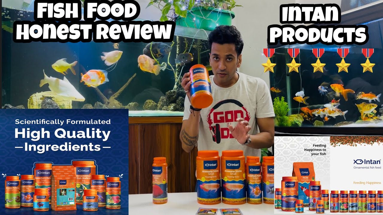 Best Fish Pellets| Intan Fish Pellets | Intan Fish Review | Best food for Cichlids | Flowerhorn Food